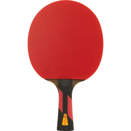 Ракетка для н/т DOUBLE FISH 7A+C, для професс.,ITTF Appr.,накл.2,1мм,+ 2 мяча V40+мм ITTF Appr за 3&nbsp;559.80 ₽ купить в Нижнем Новгороде