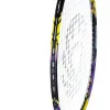 Ракетка бадм. TORRES Carbon PRO6, BD20521,для продв., стерж/обод из карбона,со струнами, фиол за 4&nbsp;477.80 ₽ купить в Нижнем Новгороде