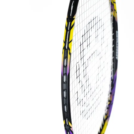 Ракетка бадм. TORRES Carbon PRO6, BD20521,для продв., стерж/обод из карбона,со струнами, фиол за 4&nbsp;477.80 ₽ купить в Нижнем Новгороде