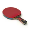 Ракетка для н/т DOUBLE FISH 7A+C, для професс.,ITTF Appr.,накл.2,1мм,+ 2 мяча V40+мм ITTF Appr за 3&nbsp;559.80 ₽ купить в Нижнем Новгороде