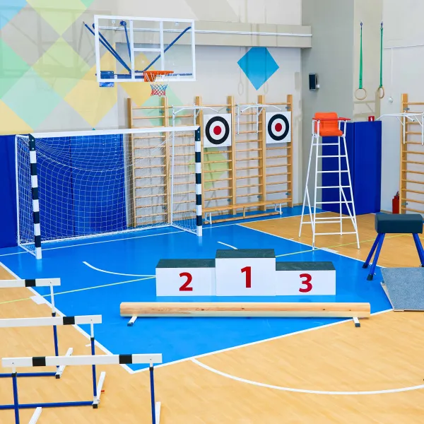 Щит для метания навесной на шведскую стенку (фанера) 700х700 ZAVODSPORTA за 8&nbsp;960 ₽ в Нижнем Новгороде