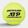 Мяч теннисный Dunlop ATP Championship 4B, 601627, уп.4ш, одобр. ITF, нат.резина,фетр. за 1&nbsp;242.70 ₽ купить в Нижнем Новгороде