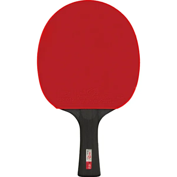 Ракетка для н/т DOUBLE FISH Black Carbon King Racket 5*****, для професс.,ITTF Appr.,накл.2,1,мм за 6&nbsp;434.50 ₽ в Нижнем Новгороде