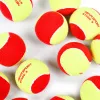 Мяч теннисный детский NS Red, 5021009, уп.12 шт, резина, шерть, нейлон, желто-красный за 2&nbsp;941 ₽ купить в Нижнем Новгороде