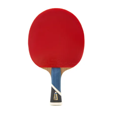 Ракетка для н/т DOUBLE FISH 5A+C, для продвин, ITTF Appr, накл. 2,1 мм, конич. ручка+ 2 мяча V40+мм за 2&nbsp;779.50 ₽ купить в Нижнем Новгороде