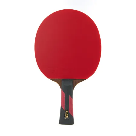 Ракетка для н/т DOUBLE FISH 7A+C, для професс.,ITTF Appr.,накл.2,1мм,+ 2 мяча V40+мм ITTF Appr за 3&nbsp;559.80 ₽ купить в Нижнем Новгороде