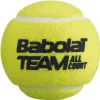 Мяч теннисный BABOLAT Team All Court,502081, уп.4 шт,одобр.ITF, сукно, нат.резина,желтый за 2&nbsp;385.10 ₽ купить в Нижнем Новгороде