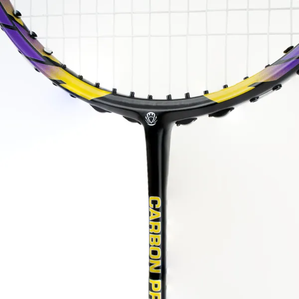 Ракетка бадм. TORRES Carbon PRO6, BD20521,для продв., стерж/обод из карбона,со струнами, фиол за 4&nbsp;477.80 ₽ в Нижнем Новгороде