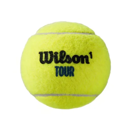 Мяч теннисный WILSON Tour Premier All Court, WRT119400, одобр.ITF, фетр, нат.резина,. уп.4 шт за 1&nbsp;676.20 ₽ купить в Нижнем Новгороде